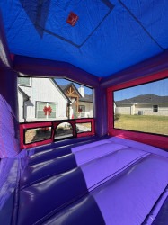 IMG 8549 1762733336 Aurora