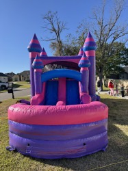 IMG 8559 1762733762 Sugar Plum Dry