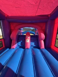 Sugar Plum Dry IMG 8562 1762733763 Sugar Plum Dry